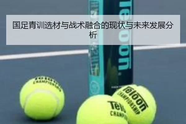 国足青训选材与战术融合的现状与未来发展分析